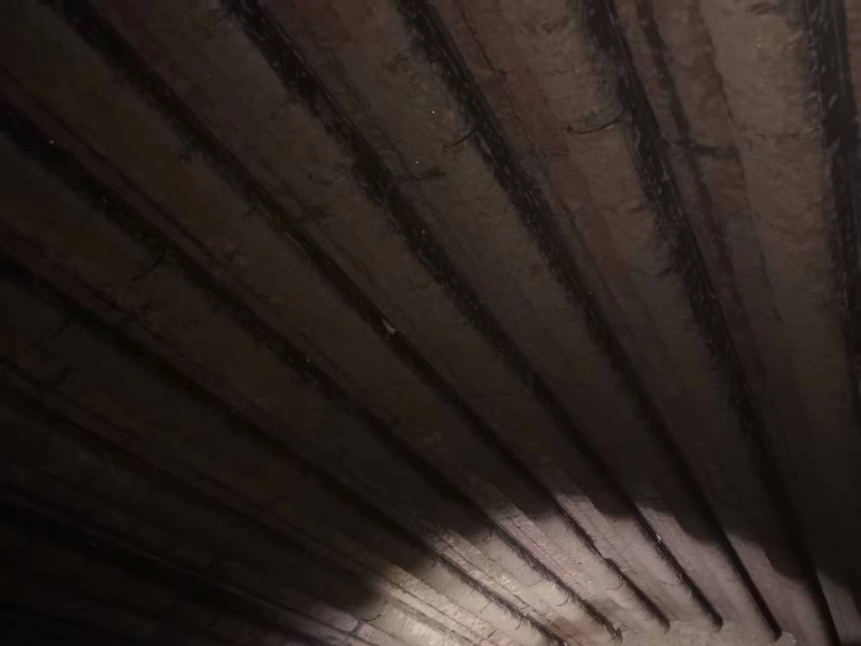 WeChat picture_20231016162735